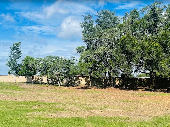 Open field in Dunnellon FL freshly cut with a bush hog beside a stand of live oaks