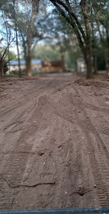 Cleared access driveway through wooded property in Dunnellon FL